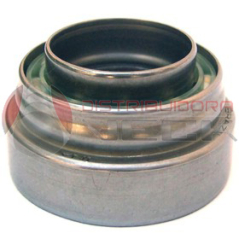 Rodam.semieje Renault Laguna Y Megane