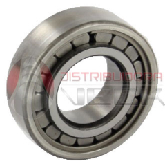 Rodam.piñon.renault 21/18