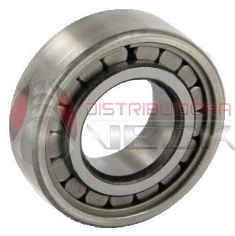 Rodam.piñon.renault 21/18