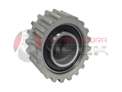 Tensor Distribucion Clio Kangoo Megane Trafic 1.9 D